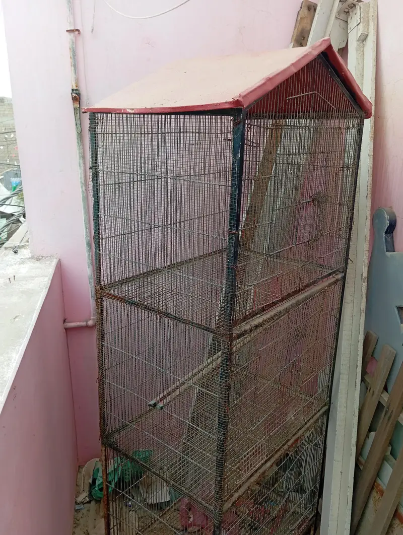 Cages, Darba — photo 3