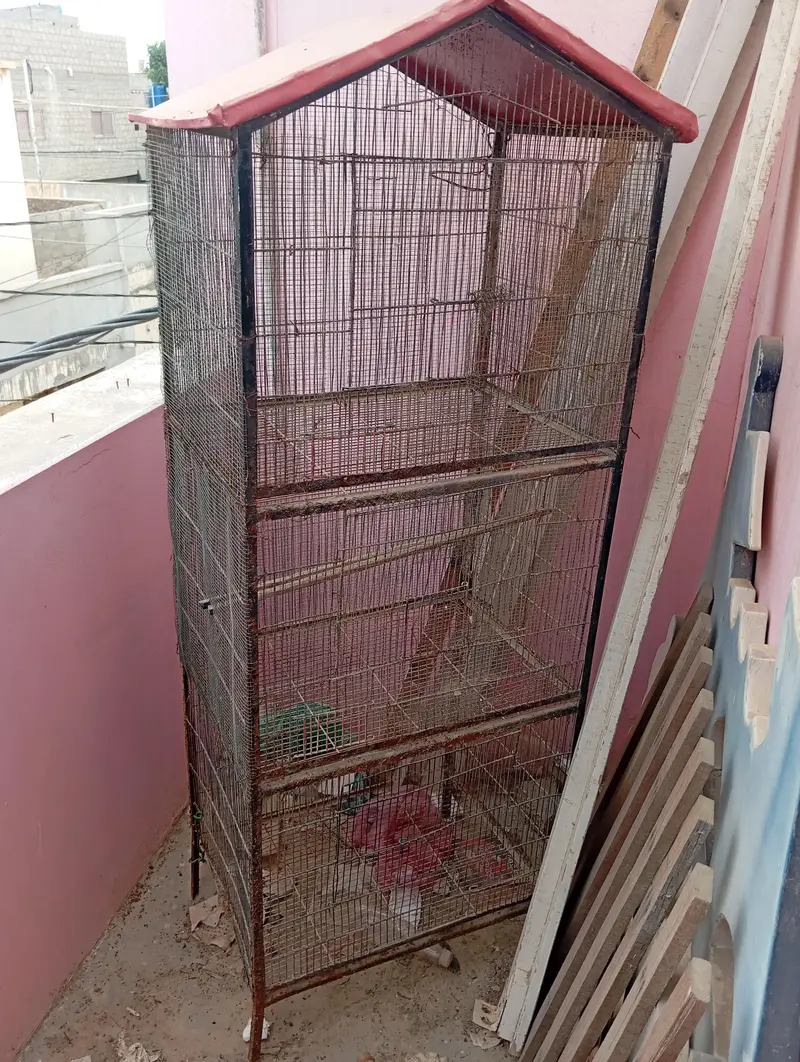 Cages, Darba — photo 4
