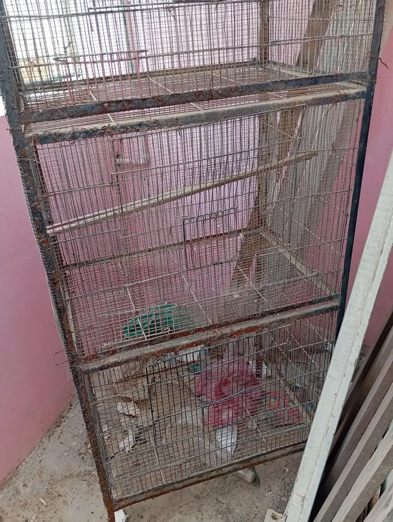 Cages, Darba — photo 5