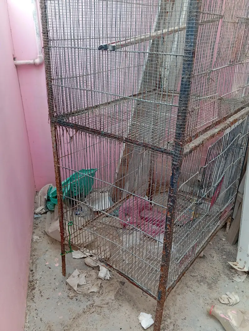 Cages, Darba — photo 6