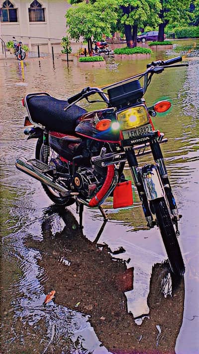 2019 model