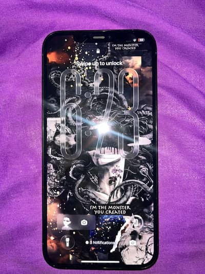 Apple iPhone 12 Pro Max