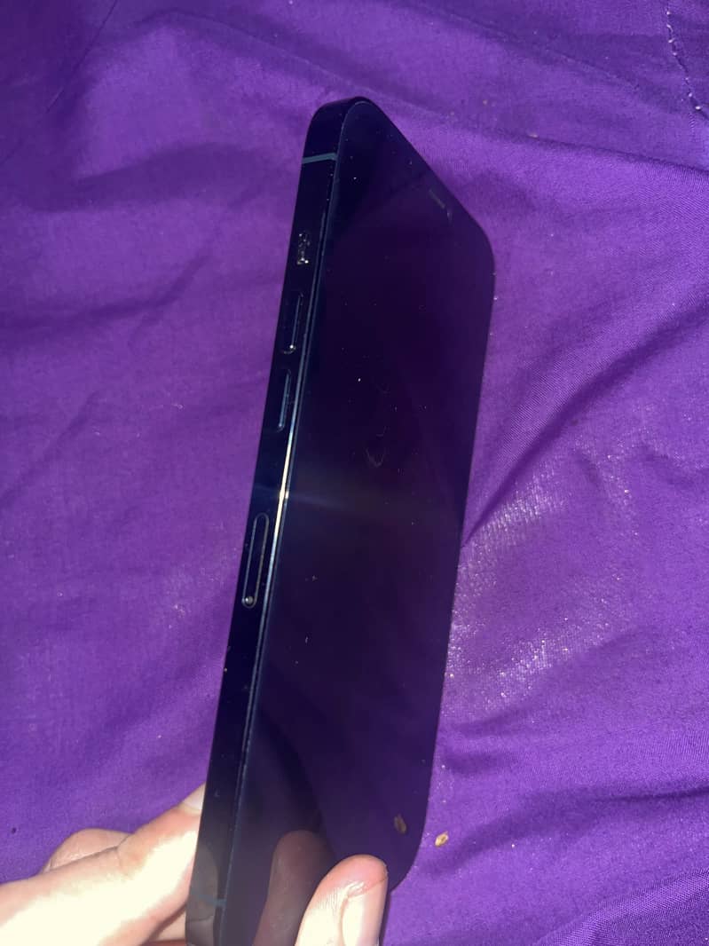Apple iPhone 12 Pro Max 1