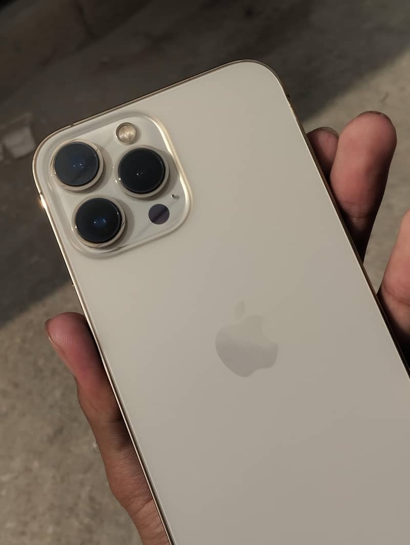 Apple iPhone 13 Pro Max 1