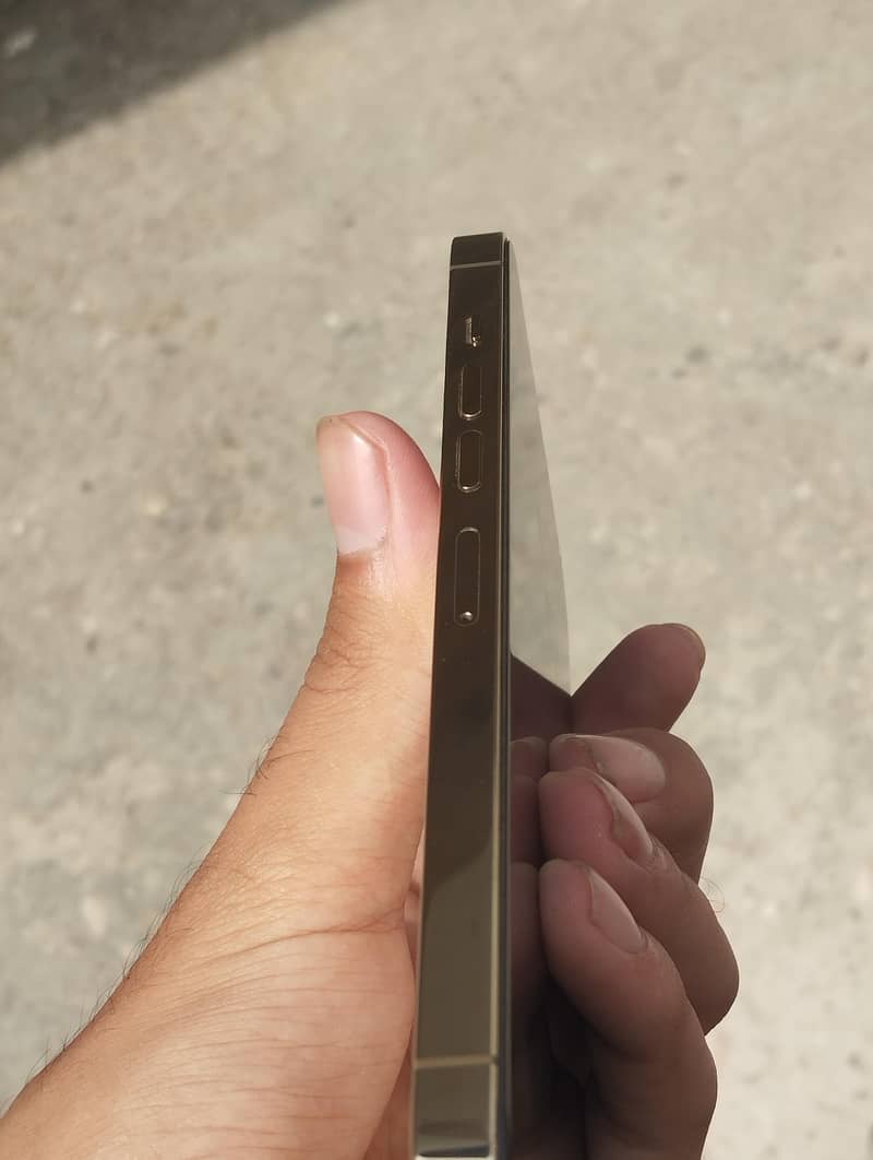 Apple iPhone 13 Pro Max 2