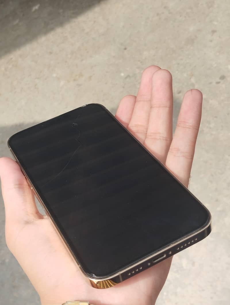 Apple iPhone 13 Pro Max 3