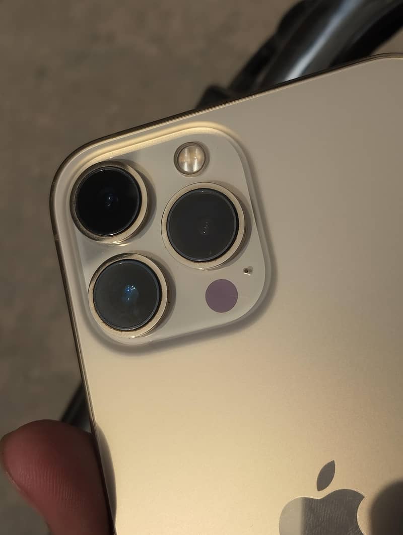 Apple iPhone 13 Pro Max 4