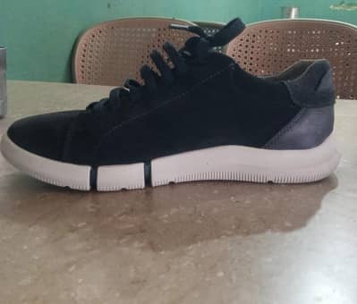 GeoX original
