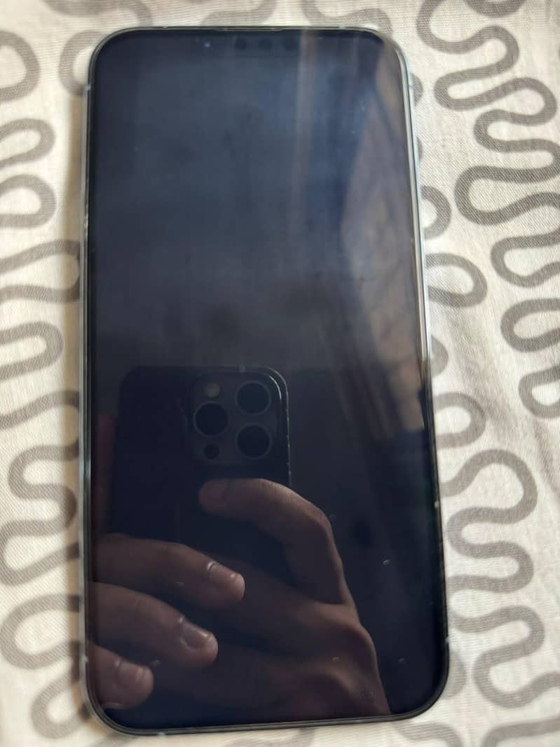Apple iPhone 13 Pro Max 1