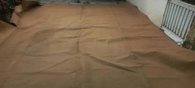 carpet 12×20