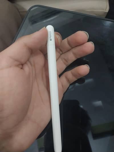 Apple Pencil C-type