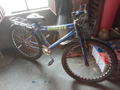 China Cycle