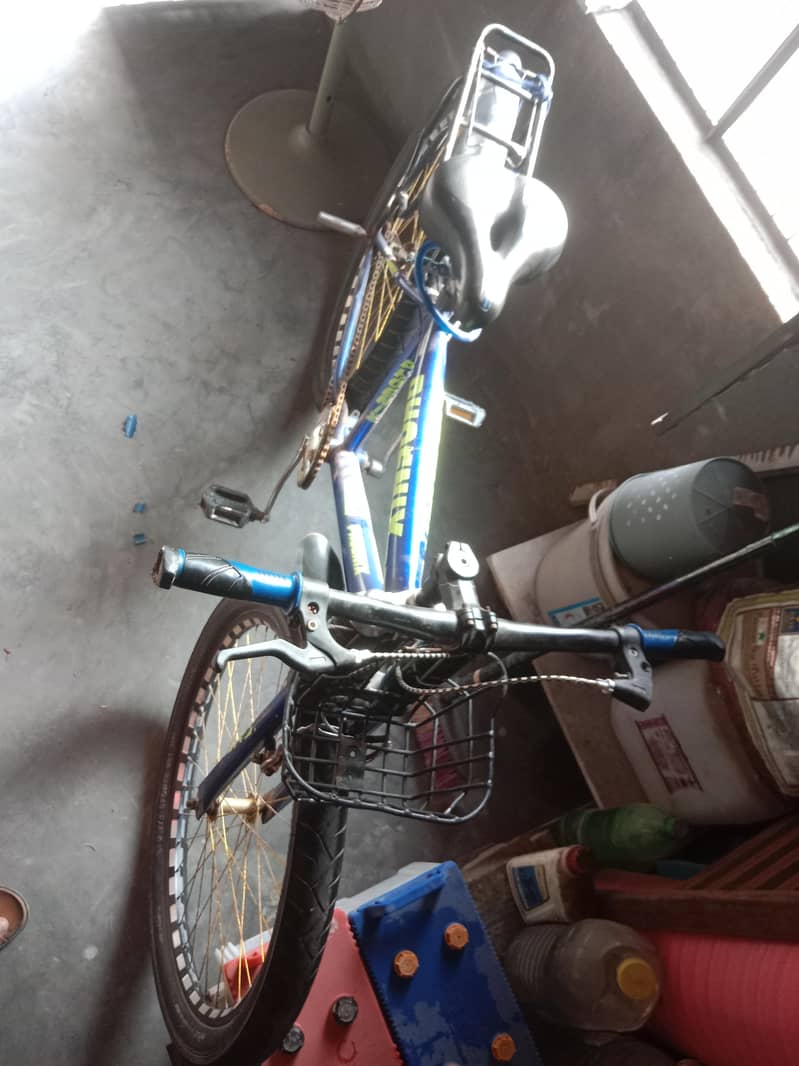China Cycle 1