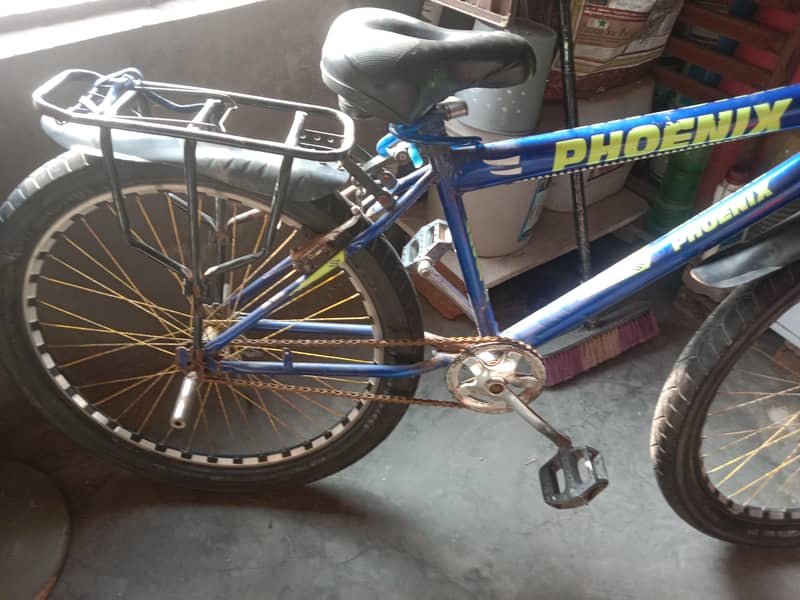China Cycle 2