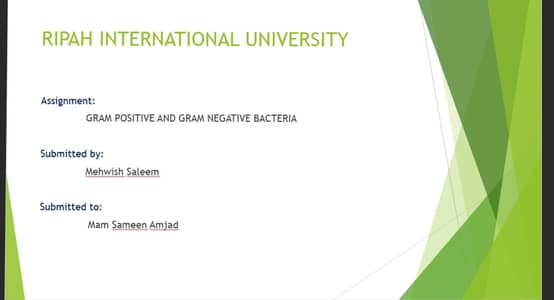 AIOU & All University Assignment | PDF/Handwritten to Word