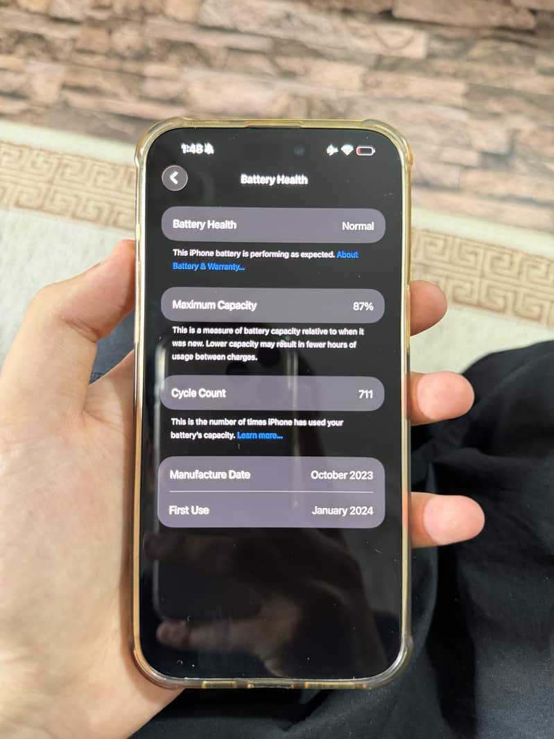 Apple iPhone 15 Pro Max 3