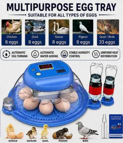8 egg incuabtor