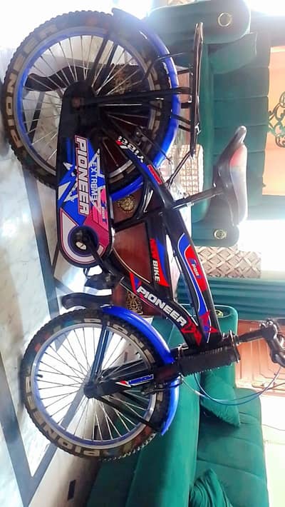 Pioneer Bicycle