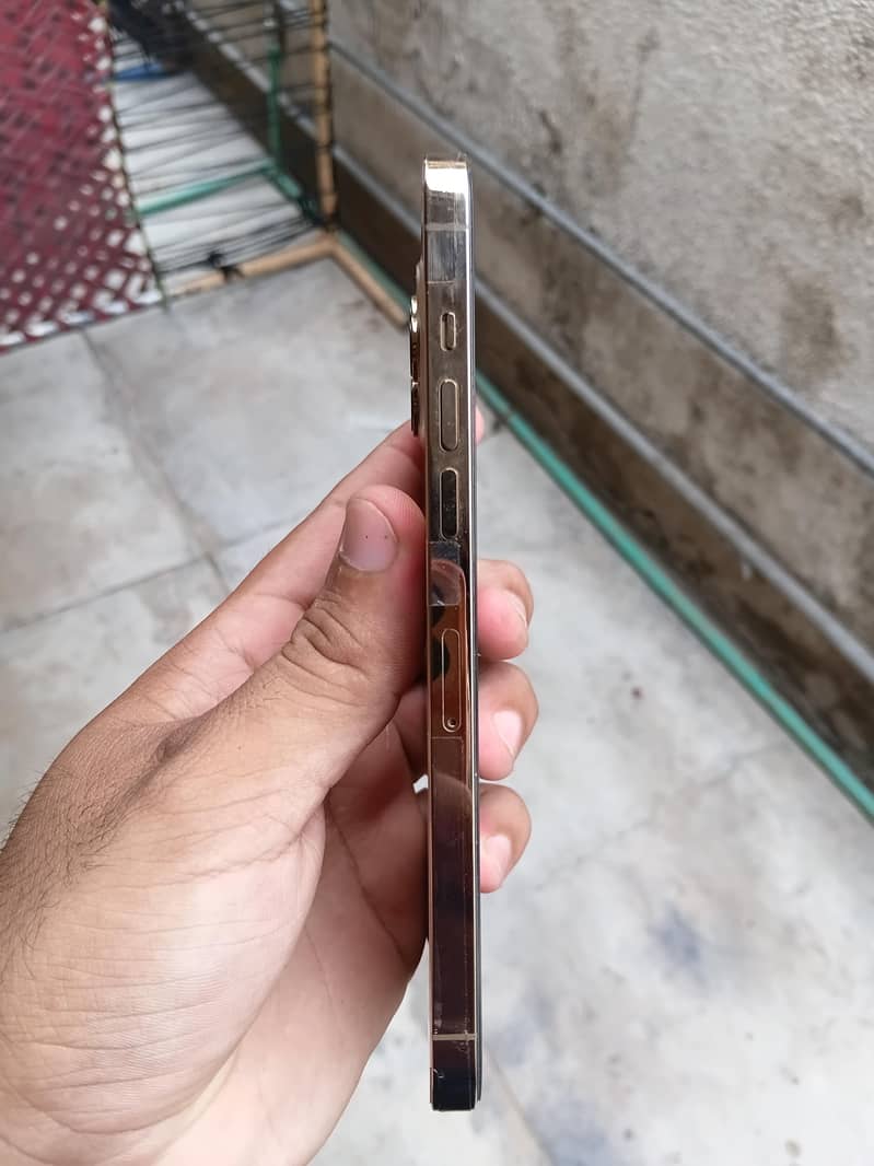 Apple iPhone 12 Pro Max 5
