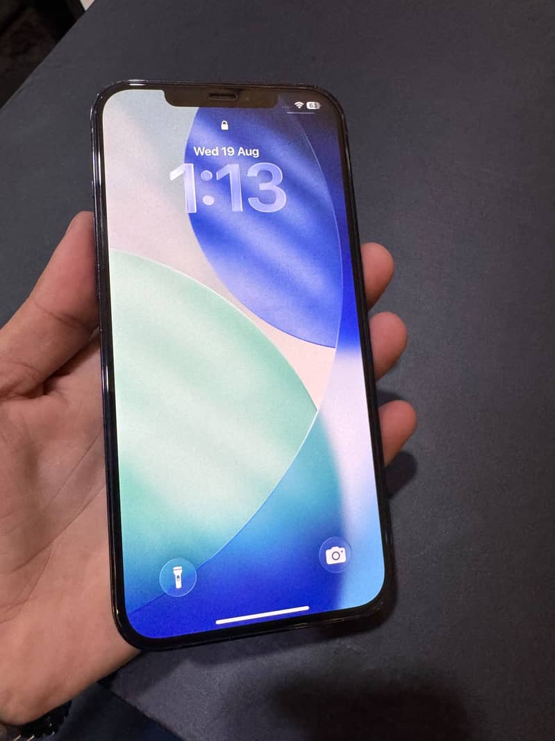 iPhone 12 Pro Max FU 1