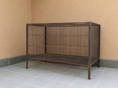 bird cage for sale
