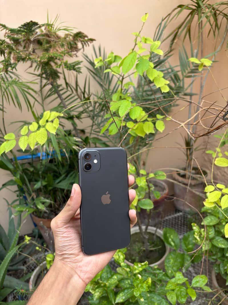 Apple iPhone 11 0