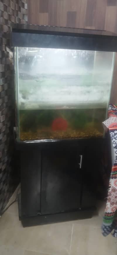 aquarium