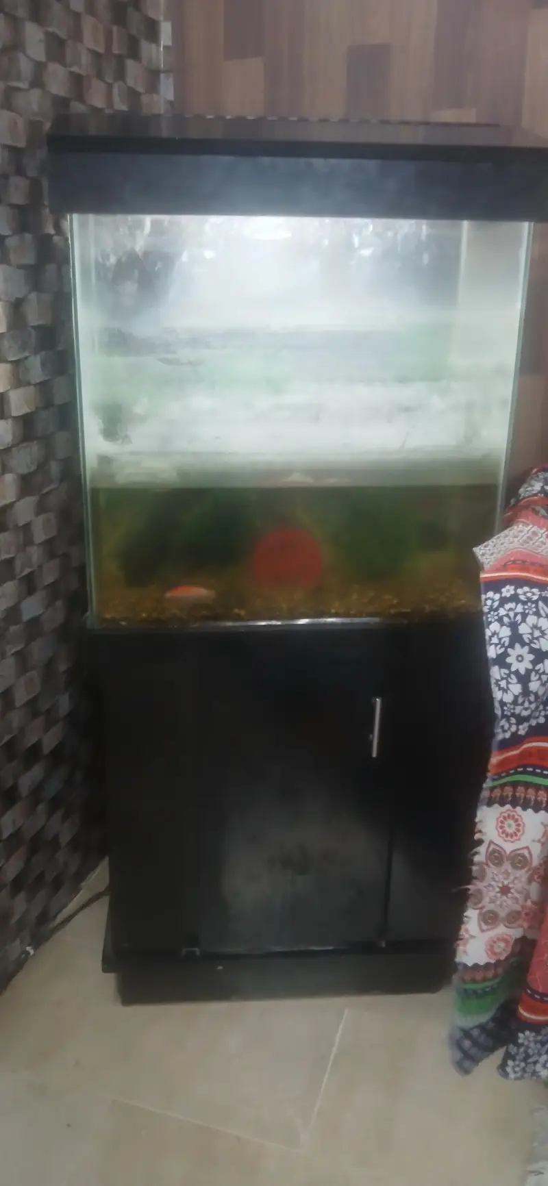 aquarium — photo 2