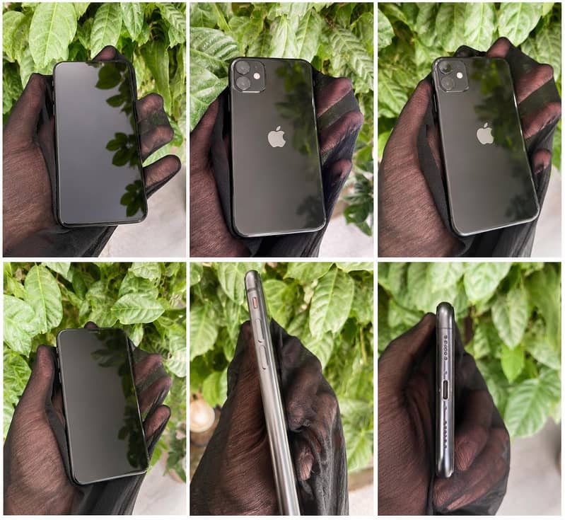 Apple iPhone 11 0