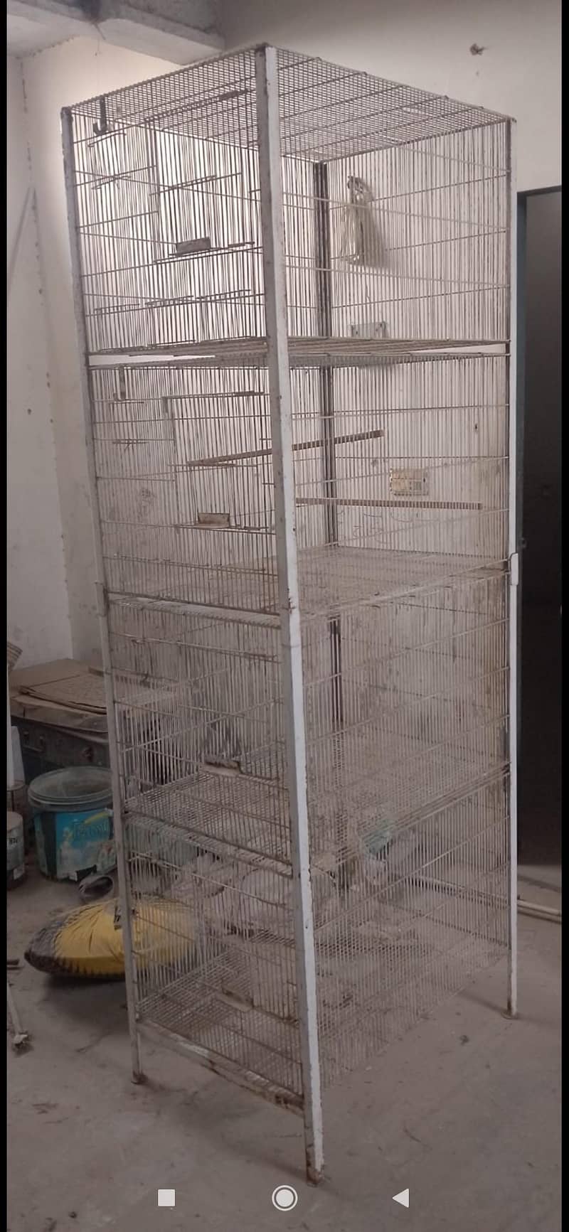 Bird cage 4 portion 0