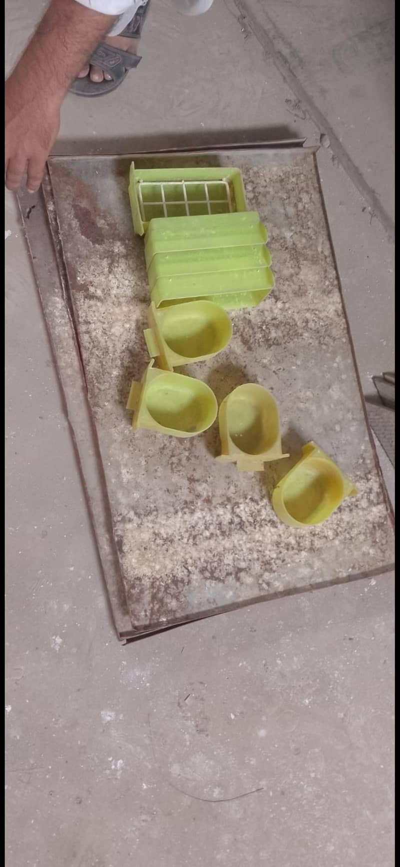 Bird cage 4 portion 1