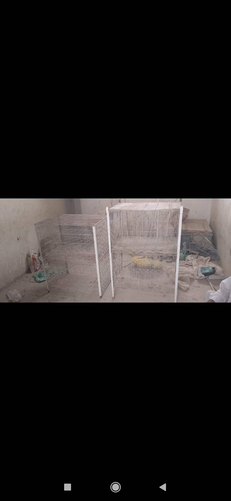 Bird cage 4 portion 2