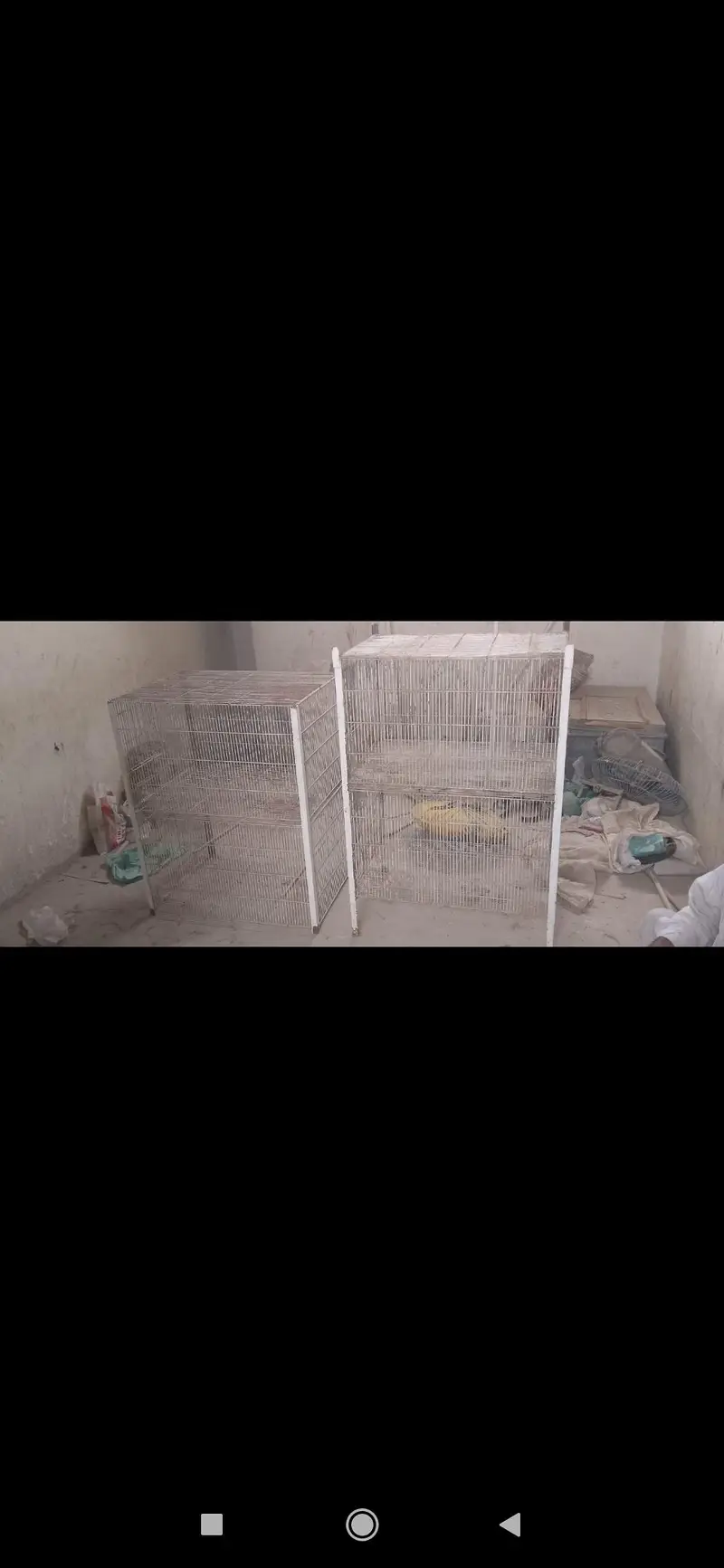 Bird cage 4 portion — photo 3
