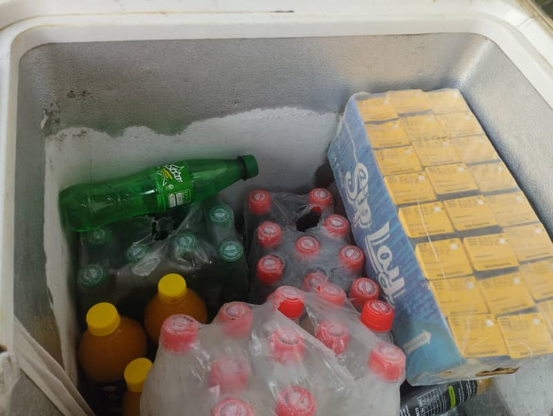 Papsi D Freezer 1