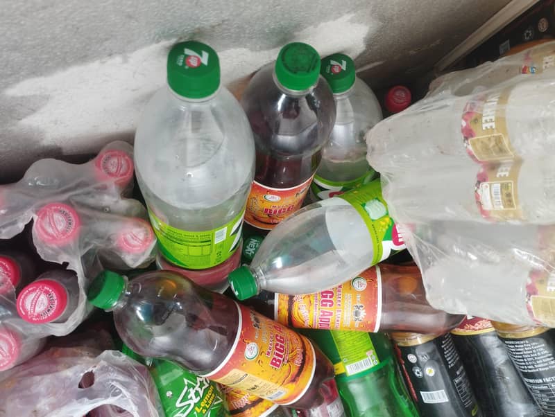 Papsi D Freezer 3