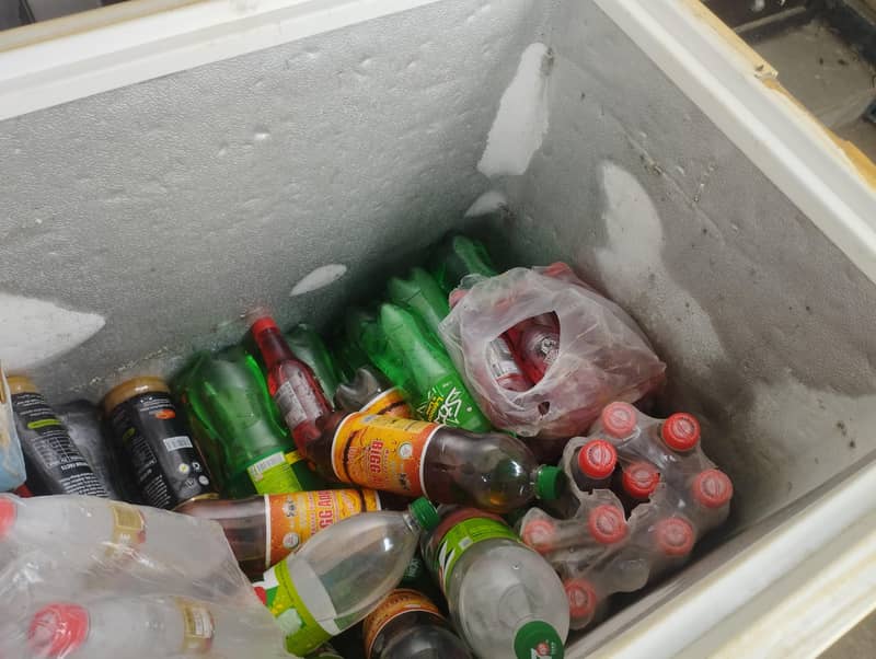 Papsi D Freezer 4