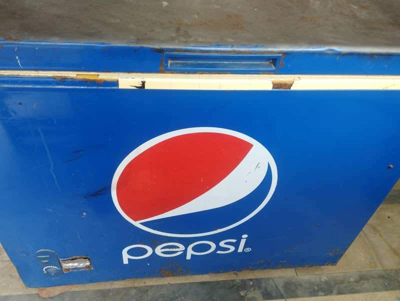 Papsi D Freezer 5