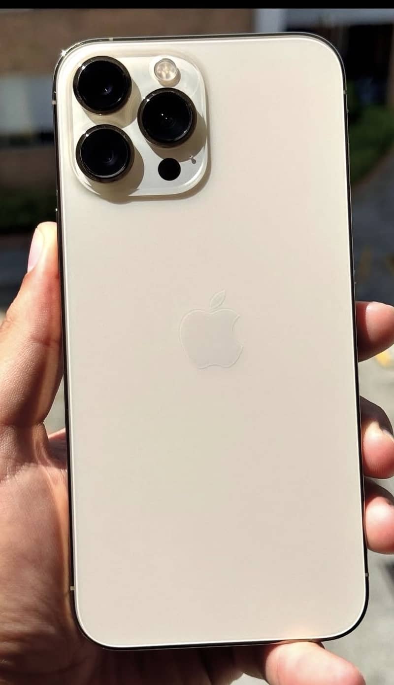 Apple iPhone 13 Pro Max 2