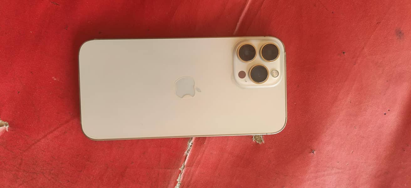 Apple iPhone 13 Pro Max 0