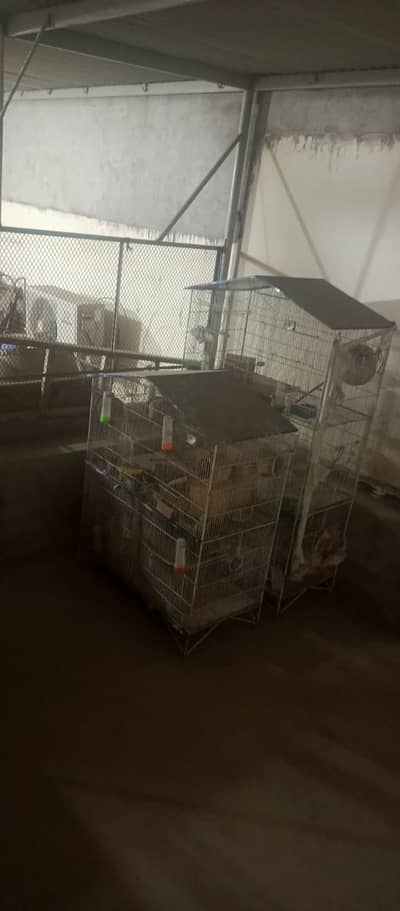 Cages | bird cage | iron cage | portion cage | moveable cage | pin