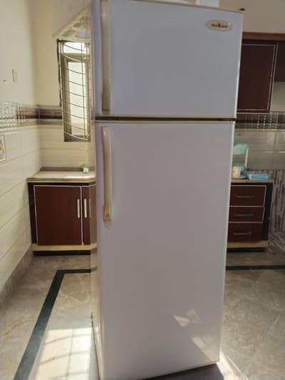 No frost refrigerator in full size