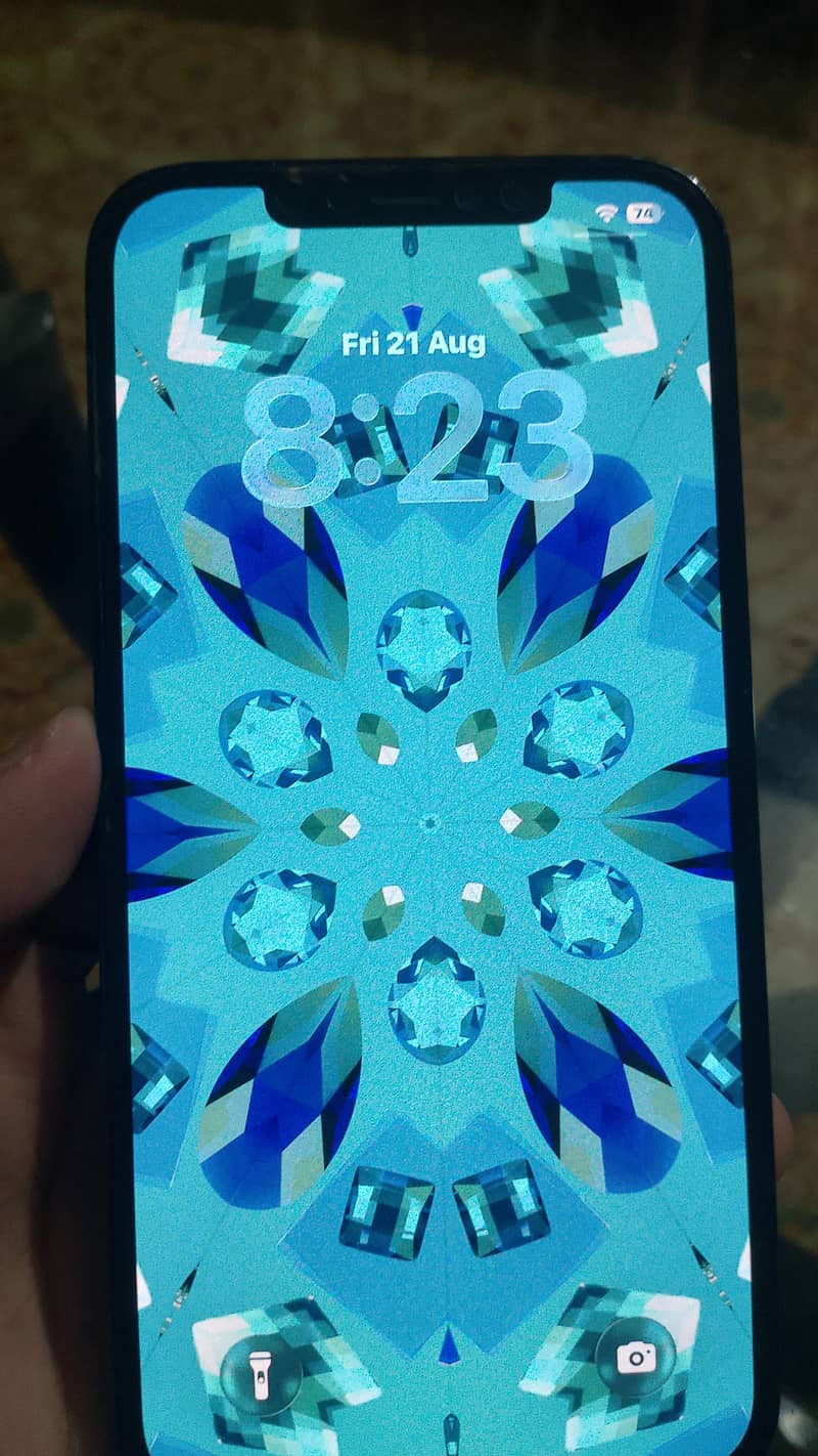 Apple iPhone 12 Pro Max 1