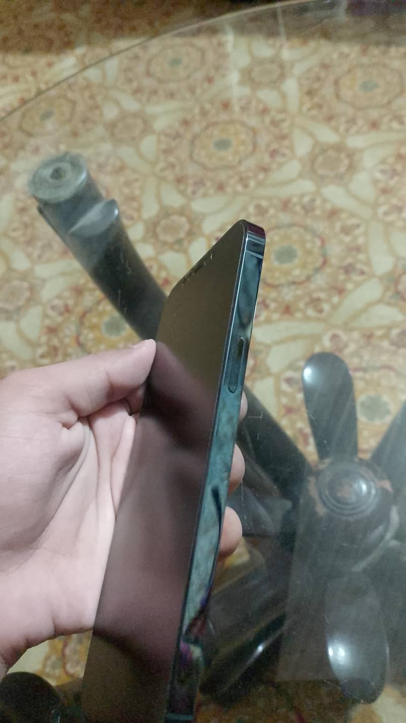 Apple iPhone 12 Pro Max 2