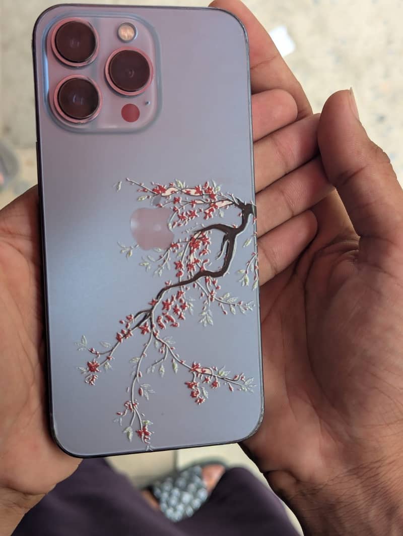 Apple iPhone 13 Pro Max 4
