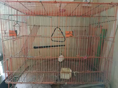 birds cage