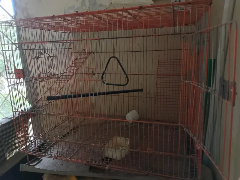 birds cage — photo 2