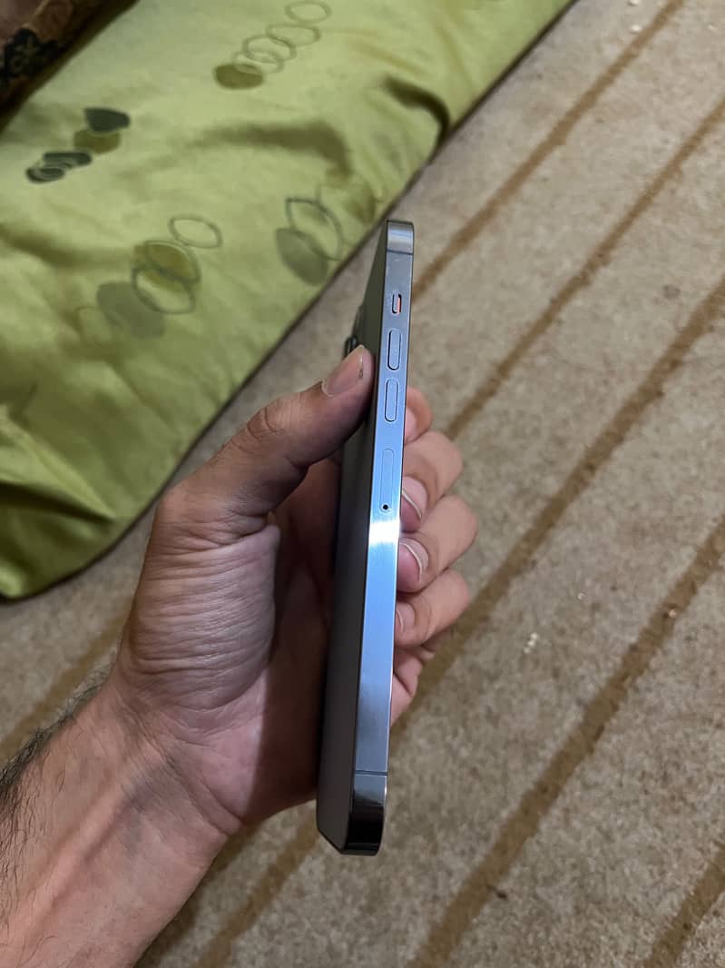 Apple iPhone 13 Pro Max 3