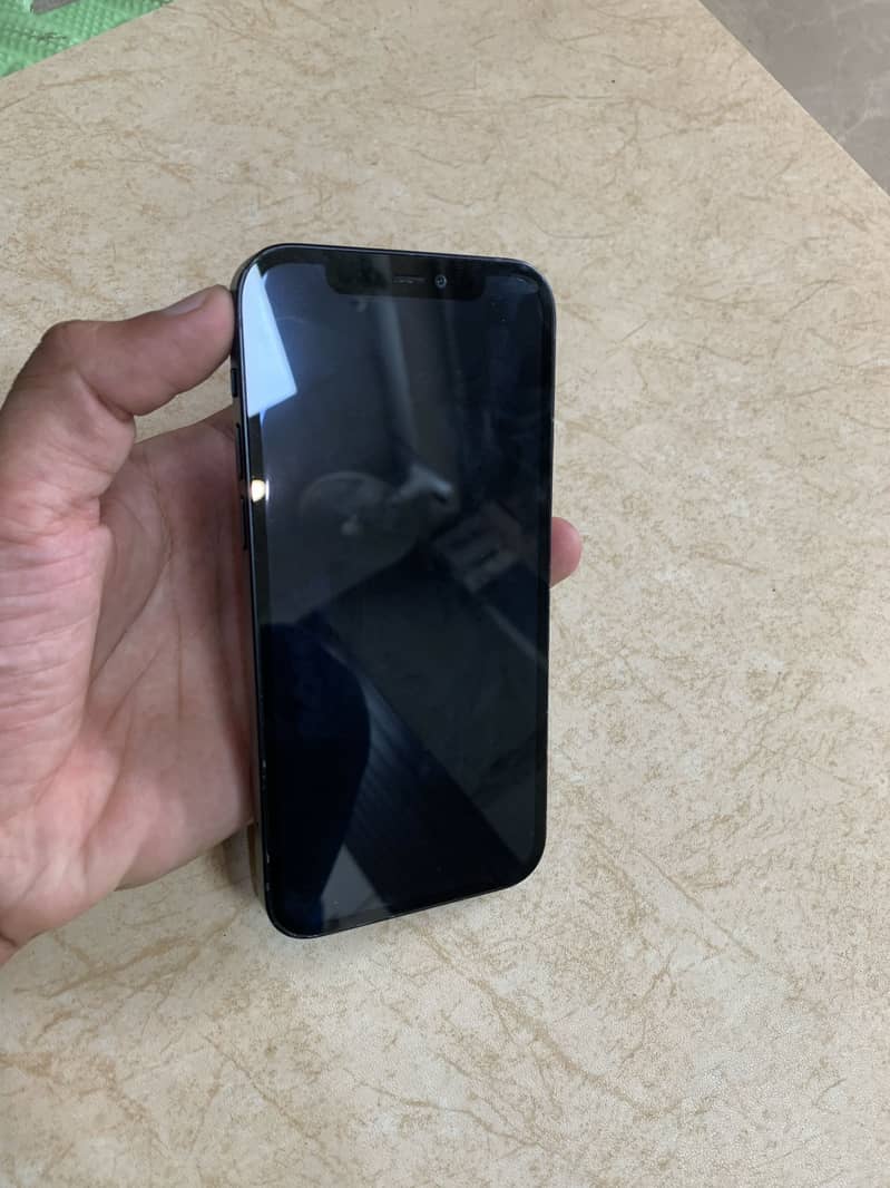 Apple iPhone 12 1