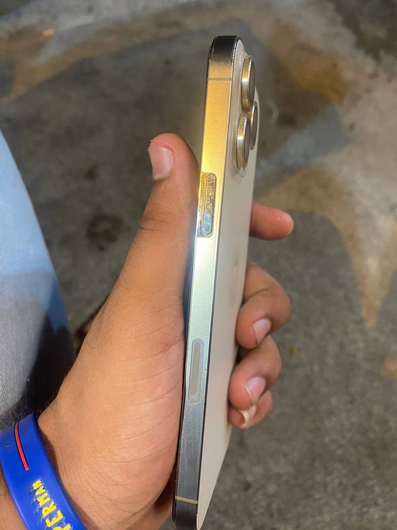 Apple iPhone 13 Pro Max 2
