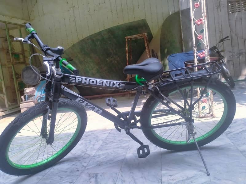 bicycle 2